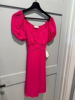 Altar'd State Fuchsia Puff-Sleeve Mini Dress